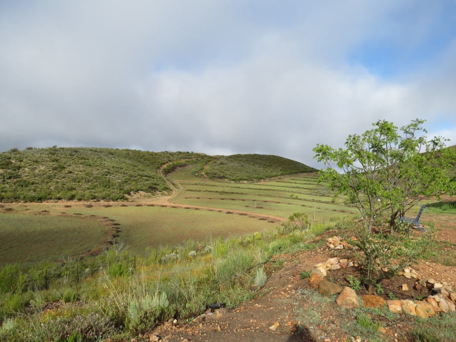 3 Bedroom Property for Sale in Joubertina Eastern Cape